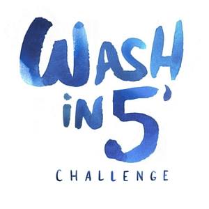 Wash in 5 Challenge